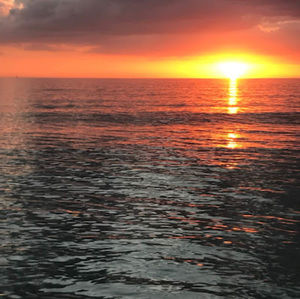 Meet your Posher, Eron